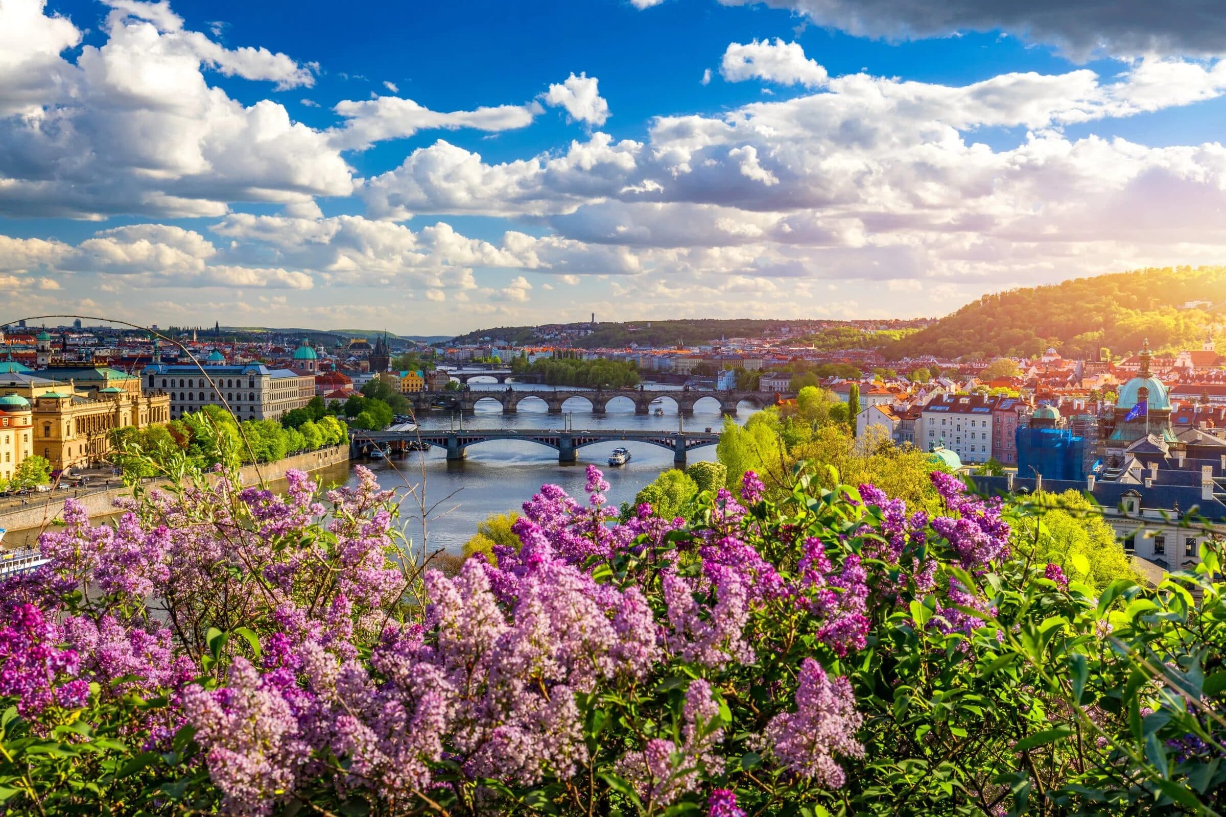 Prague and its bridges over the Vltava, lilac blooming in the foreground